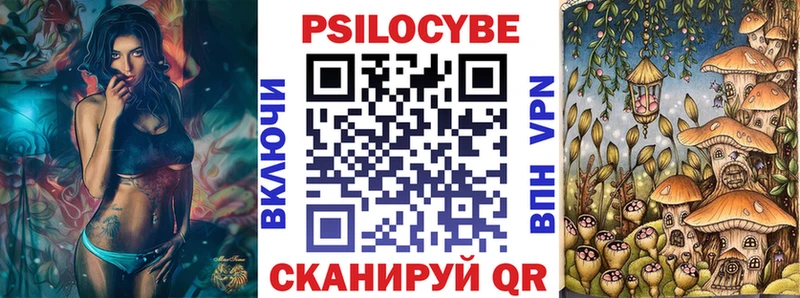Псилоцибиновые грибы Psilocybine cubensis  Будённовск 